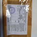 핀페시아 photo review