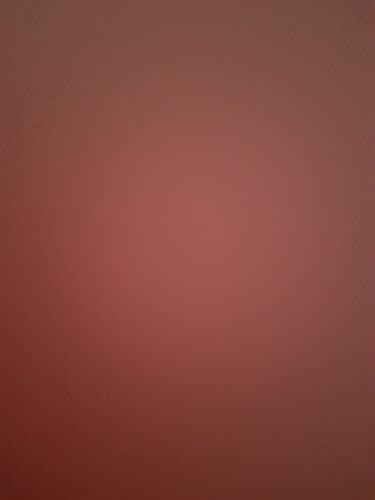 핀페시아 photo review