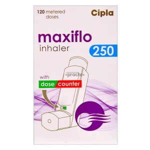 맥시플로 250 흡입기