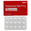 몬테어 10mg