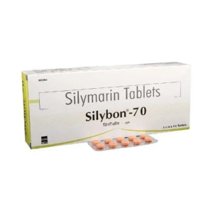 실리본 70mg