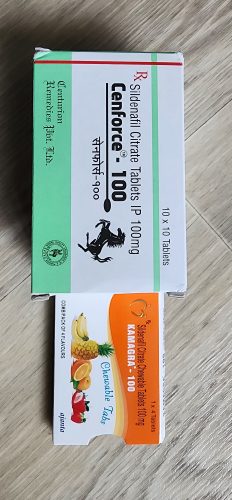센포스 100 photo review