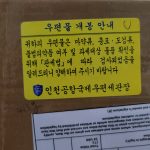 다판타 10 photo review