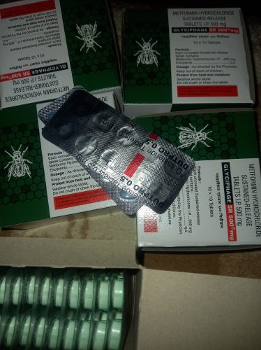 메트포르민 글리시파지 SR 500mg photo review