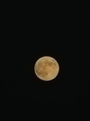 에프페시아 photo review