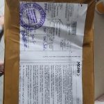 핀페시아 photo review